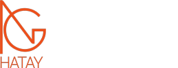 Hatay Nabız Gazetesi